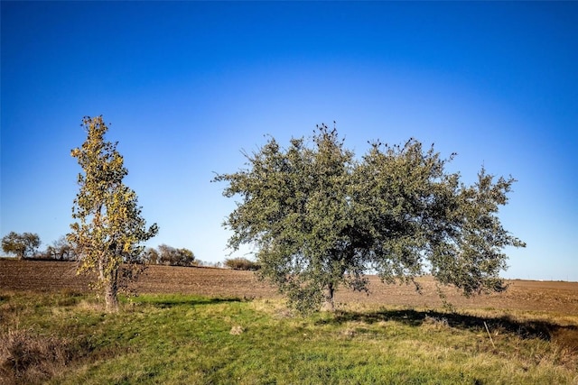 14914 Svenska Rd, Coupland, TX 78615