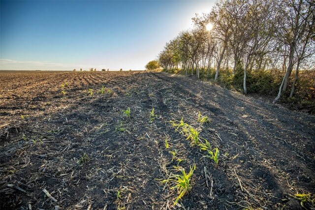 14914 Svenska Rd, Coupland, TX 78615