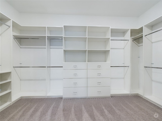 spacious closet with carpet floors