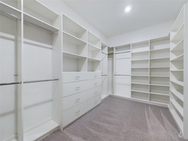 walk in closet featuring carpet floors