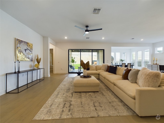 living room with ceiling fan, a healthy amount of sunlight, and light wood-type flooring