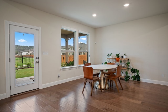 dining area featuring dark wood-type flooring