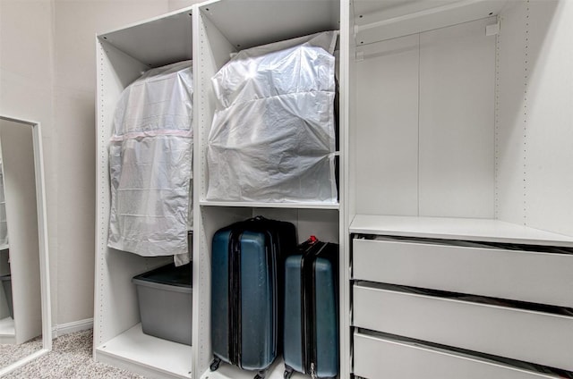 walk in closet featuring light carpet