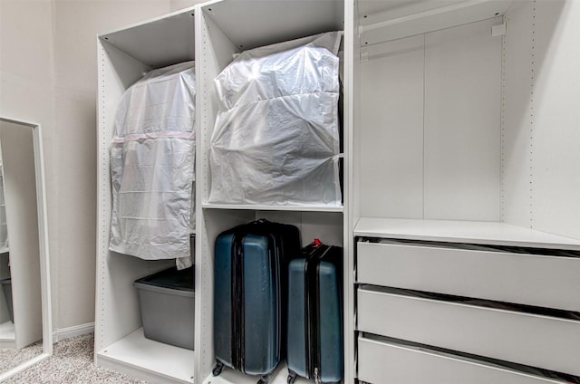 3113 Pasqueflower Pass, Pflugerville, TX 78660 - view of walk in closet