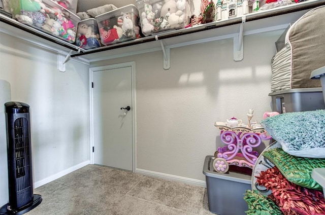 3113 Pasqueflower Pass, Pflugerville, TX 78660 - walk in closet featuring carpet floors
