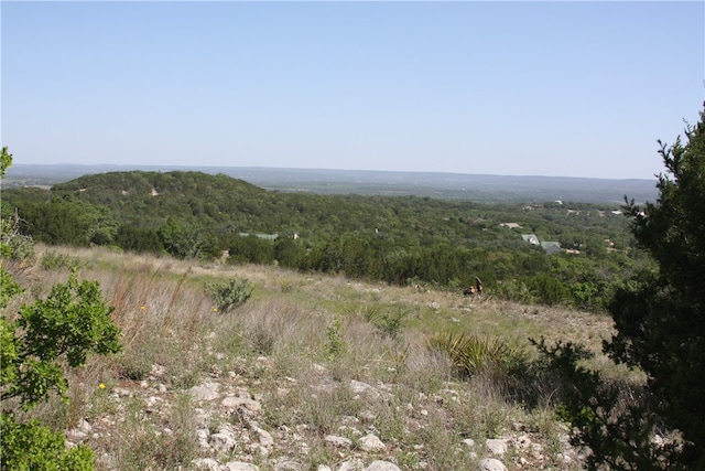 Listing photo 2 for LOT21A Persimmon A Ln, Spicewood TX 78669