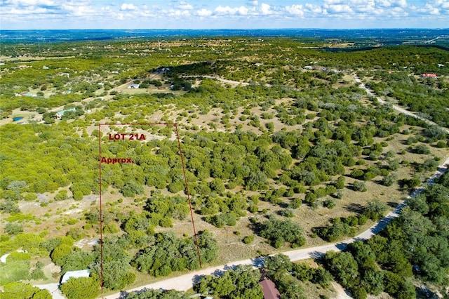 Listing photo 3 for LOT21A Persimmon A Ln, Spicewood TX 78669