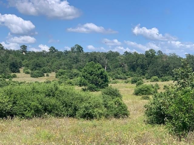 TBD-LOT7 Colovista Pkwy, Bastrop TX, 78602 land for sale