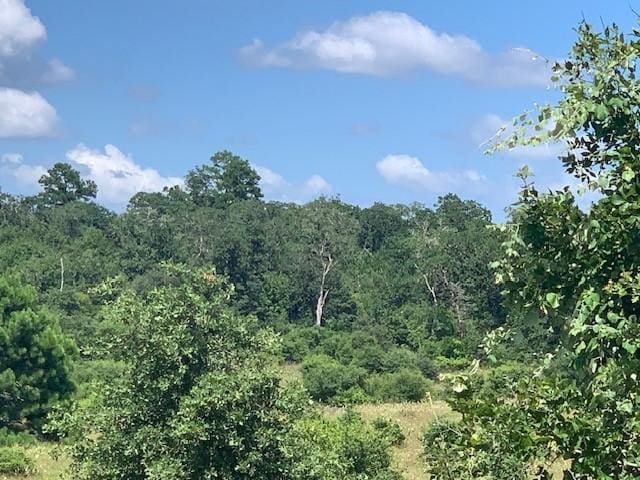 Listing photo 2 for TBD-LOT7 Colovista Pkwy, Bastrop TX 78602