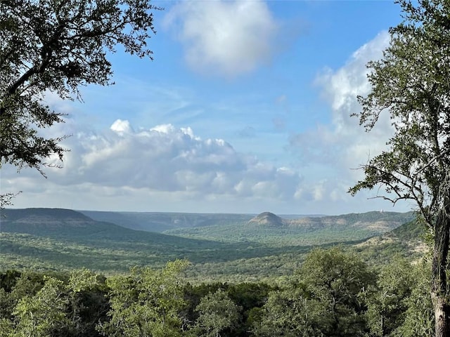 property view of mountains