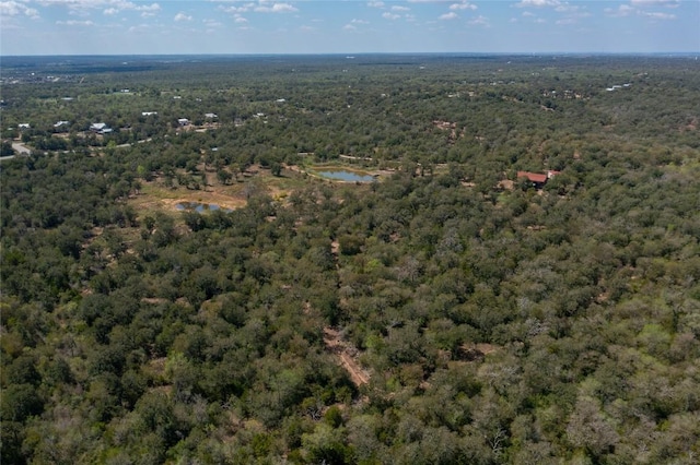 374 Thousand Oaks Dr, Cedar Creek, TX 78612 - photo 2