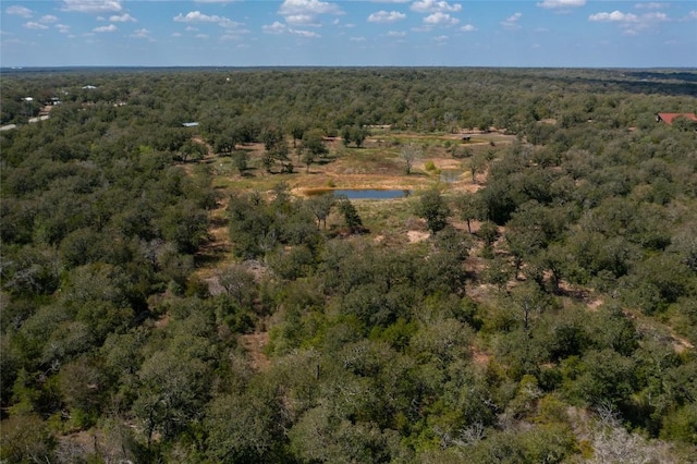 374 Thousand Oaks Dr, Cedar Creek, TX 78612 - photo 3
