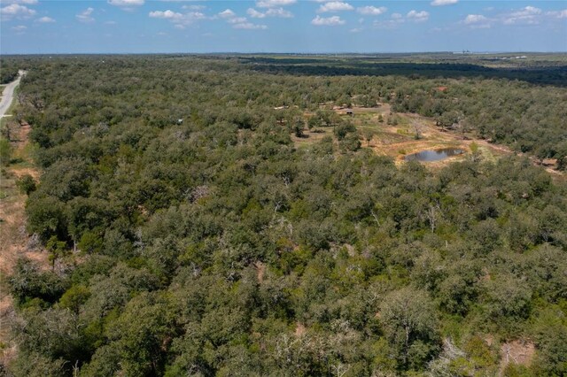 374 Thousand Oaks Dr, Cedar Creek, TX 78612 - photo 4