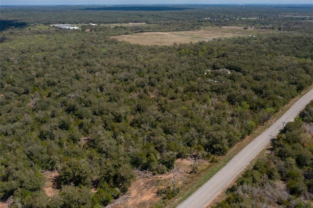 374 Thousand Oaks Dr, Cedar Creek, TX 78612 - photo 5
