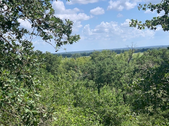 107 Mccarthy Dr, Bastrop TX, 78602 land for sale