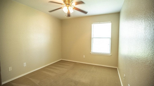 3817 Haleys Way, Round Rock, TX 78665 - photo 24