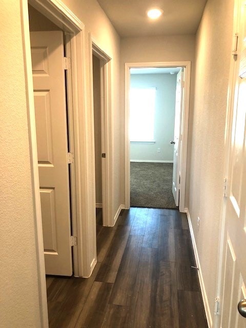 corridor featuring a wealth of natural light and dark hardwood / wood-style floors