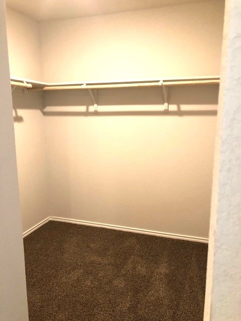 spacious closet with carpet