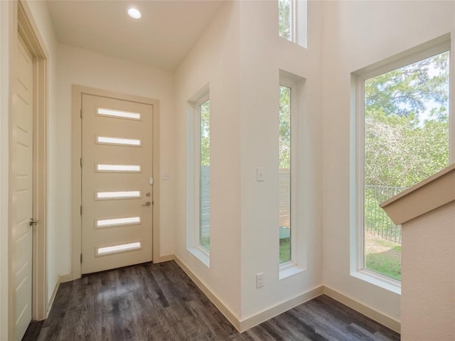 doorway to outside with plenty of natural light and dark hardwood / wood-style floors