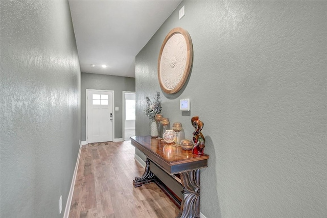 entryway featuring wood-type flooring