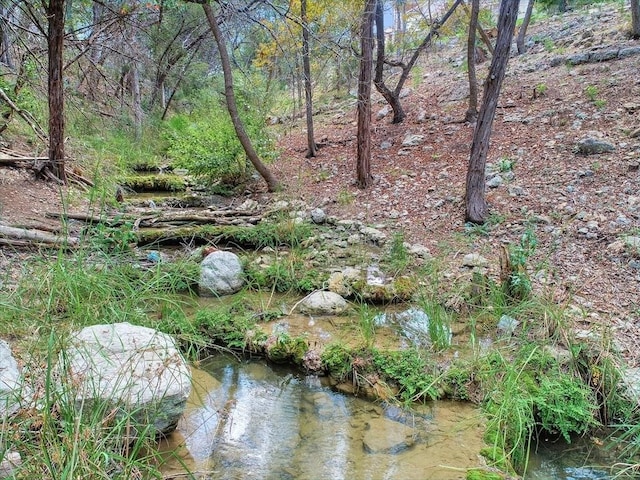 view of landscape