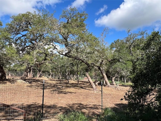 view of local wilderness