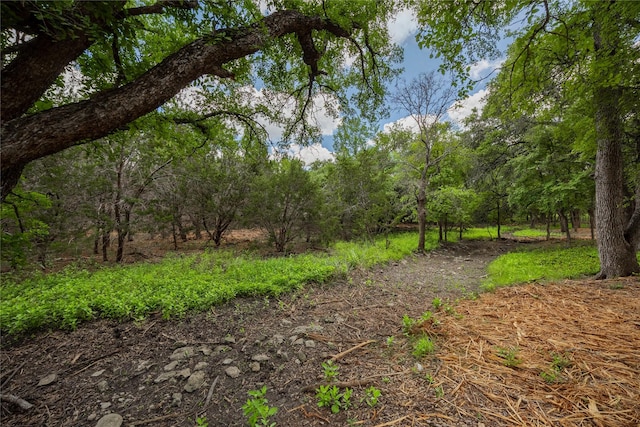 250 E Ridgewood Rd, Georgetown TX, 78633 land for sale