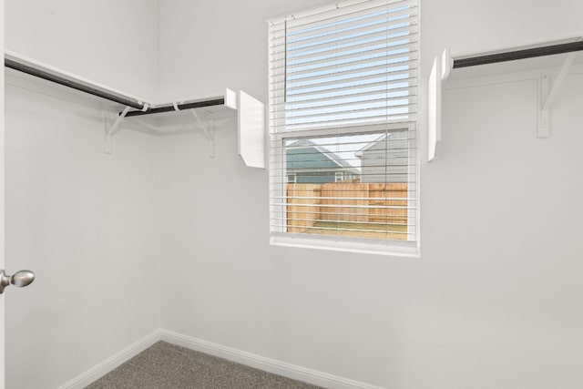 spacious closet featuring carpet flooring