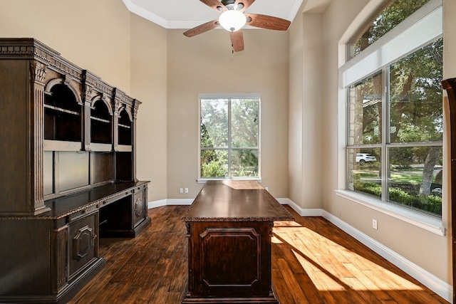 unfurnished office with baseboards, a ceiling fan, dark wood-style floors, ornamental molding, and a high ceiling