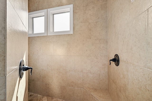 room details with a tile shower