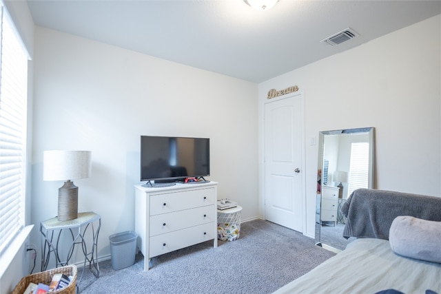 carpeted bedroom featuring multiple windows