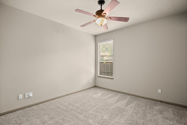 spare room with carpet