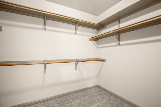 walk in closet with carpet flooring