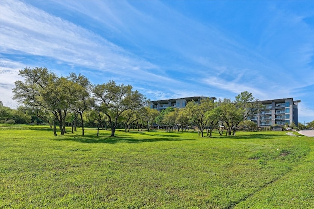 view of community with a yard