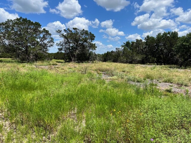00 County Road 252 Unit 1, Bertram, TX 78605 - photo 2