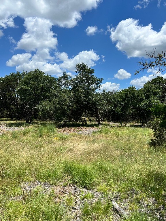 00 County Road 252 Unit 1, Bertram, TX 78605 - photo 5