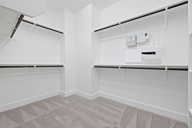 spacious closet featuring carpet flooring