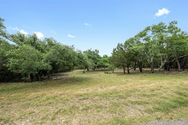 Listing photo 2 for 1005 Covered Bridge Dr, Driftwood TX 78619