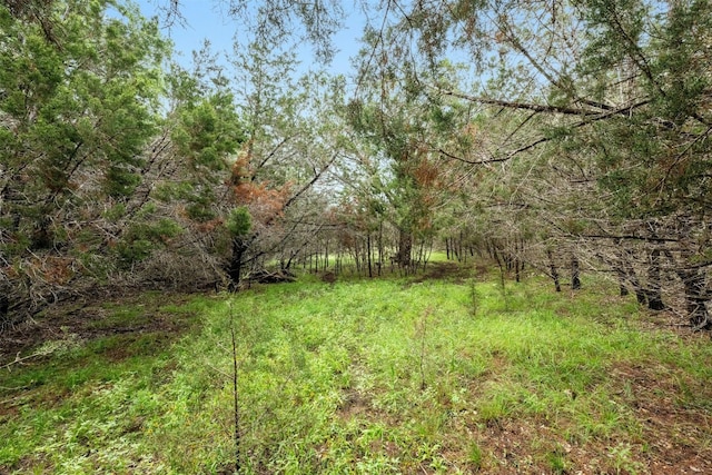 1005 Covered Bridge Dr, Driftwood, TX 78619