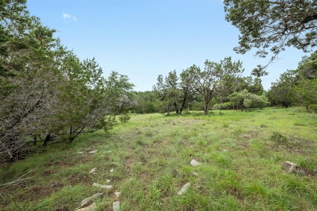 1005 Covered Bridge Dr, Driftwood, TX 78619