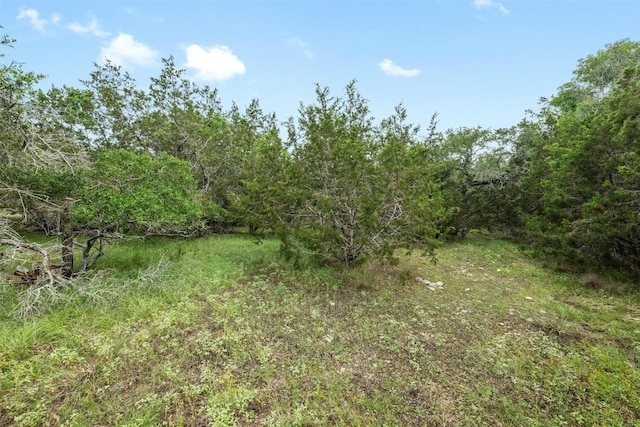 1005 Covered Bridge Dr, Driftwood, TX 78619
