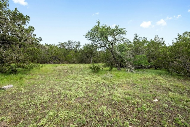 1005 Covered Bridge Dr, Driftwood, TX 78619