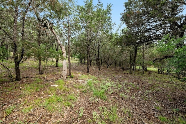 1005 Covered Bridge Dr, Driftwood, TX 78619
