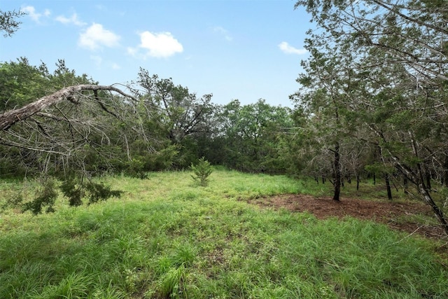 1005 Covered Bridge Dr, Driftwood, TX 78619