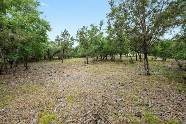 1005 Covered Bridge Dr, Driftwood, TX 78619