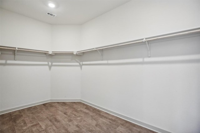1837 Flying Horseshoe Bnd, Georgetown, TX 78628 - walk in closet with carpet flooring