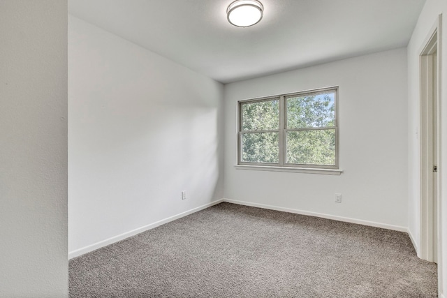 spare room with carpet floors