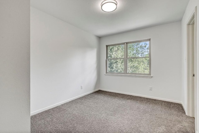 spare room featuring baseboards and carpet flooring