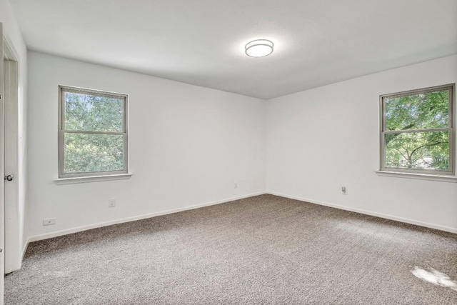 carpeted empty room featuring a wealth of natural light and baseboards