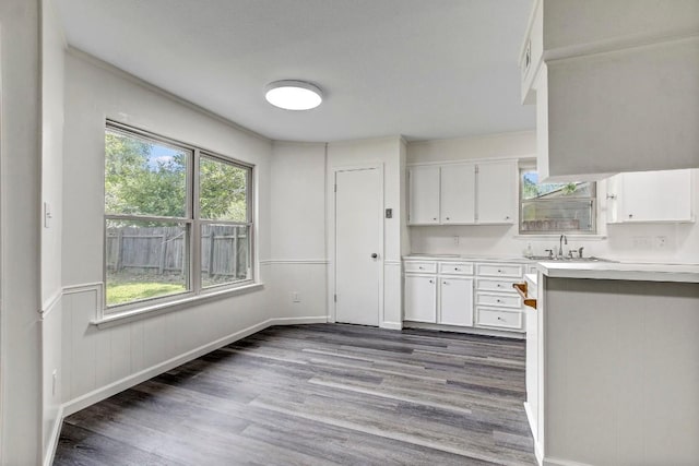 kitchen featuring a wainscoted wall, dark wood finished floors, light countertops, white cabinets, and a sink